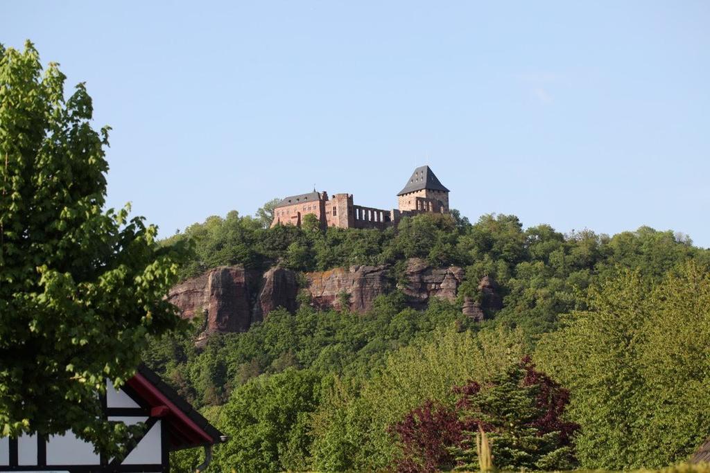 Bos En Kasteel Διαμέρισμα Nideggen Δωμάτιο φωτογραφία