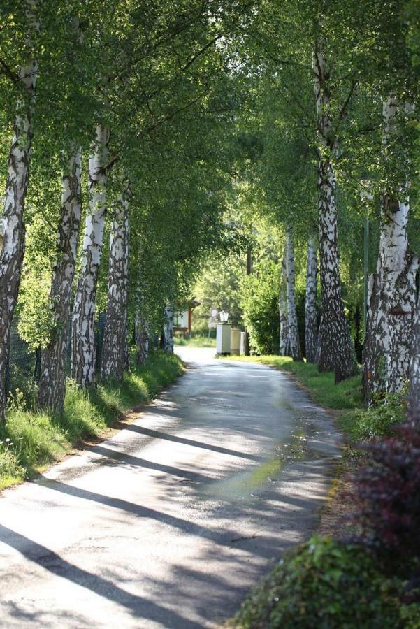 Bos En Kasteel Διαμέρισμα Nideggen Εξωτερικό φωτογραφία