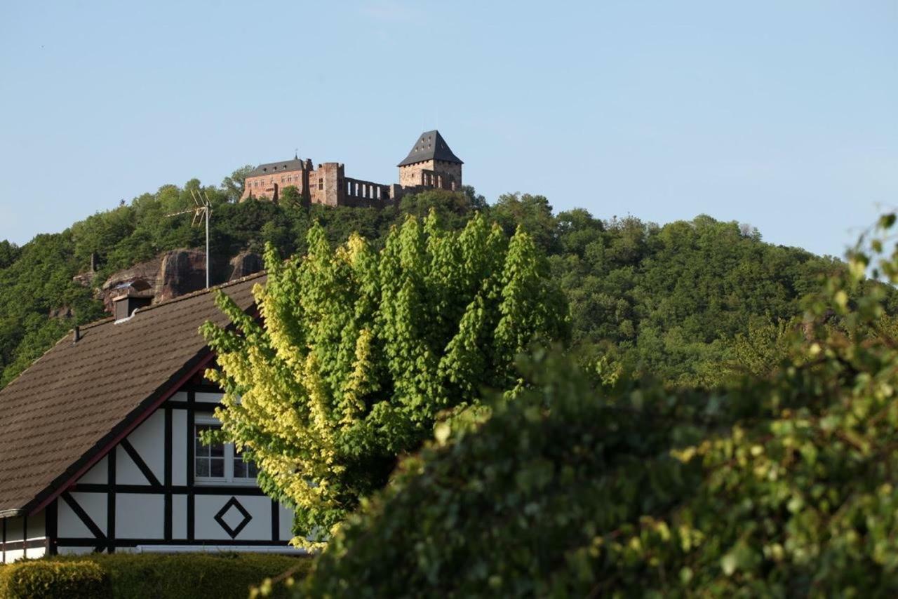 Bos En Kasteel Διαμέρισμα Nideggen Εξωτερικό φωτογραφία